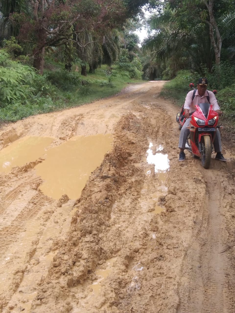 Foto Kondisi Jalan Lae Sipola Ke Kecamatan Singkohor