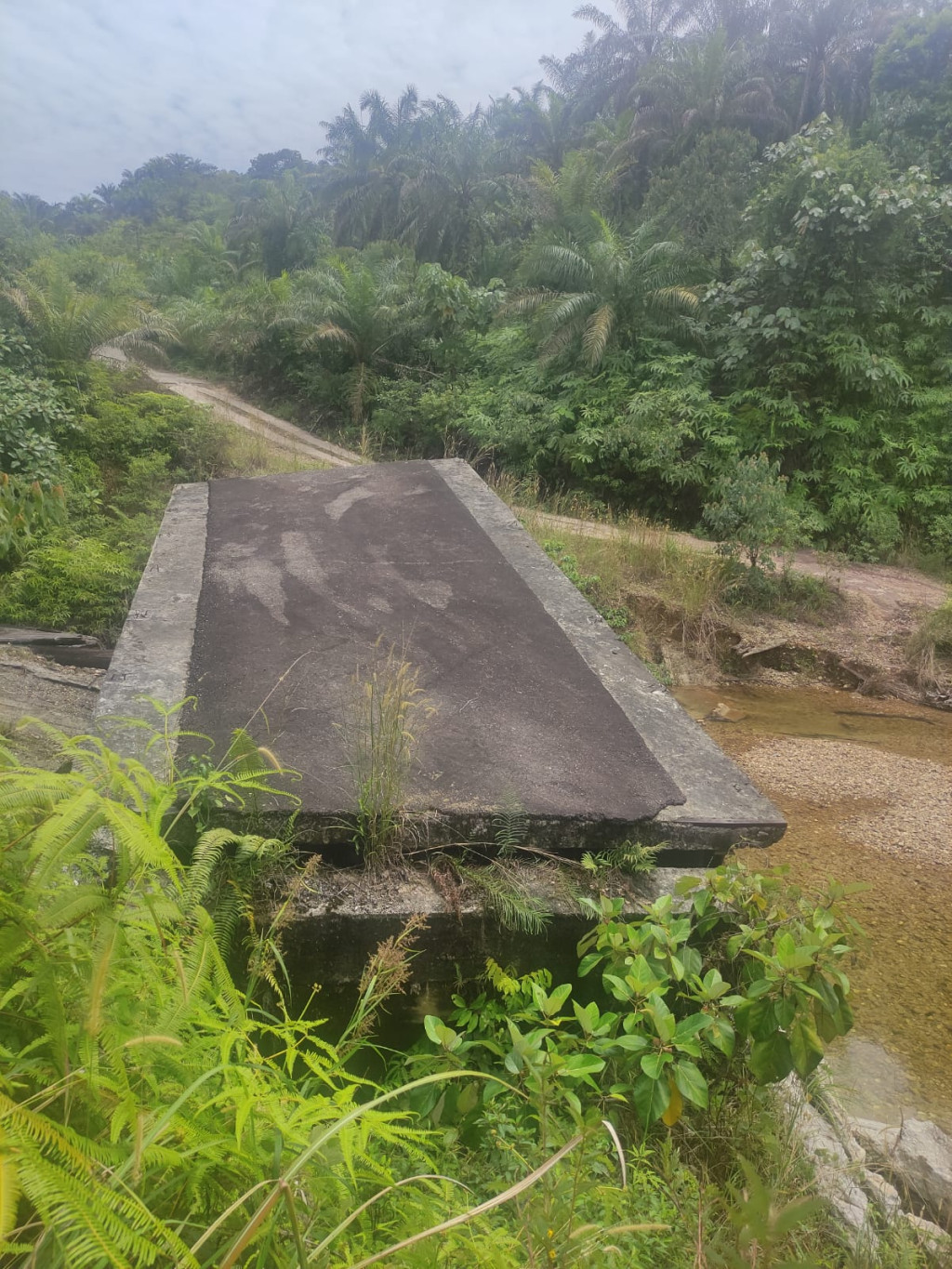 Foto Kondisi Jambatan Rusak